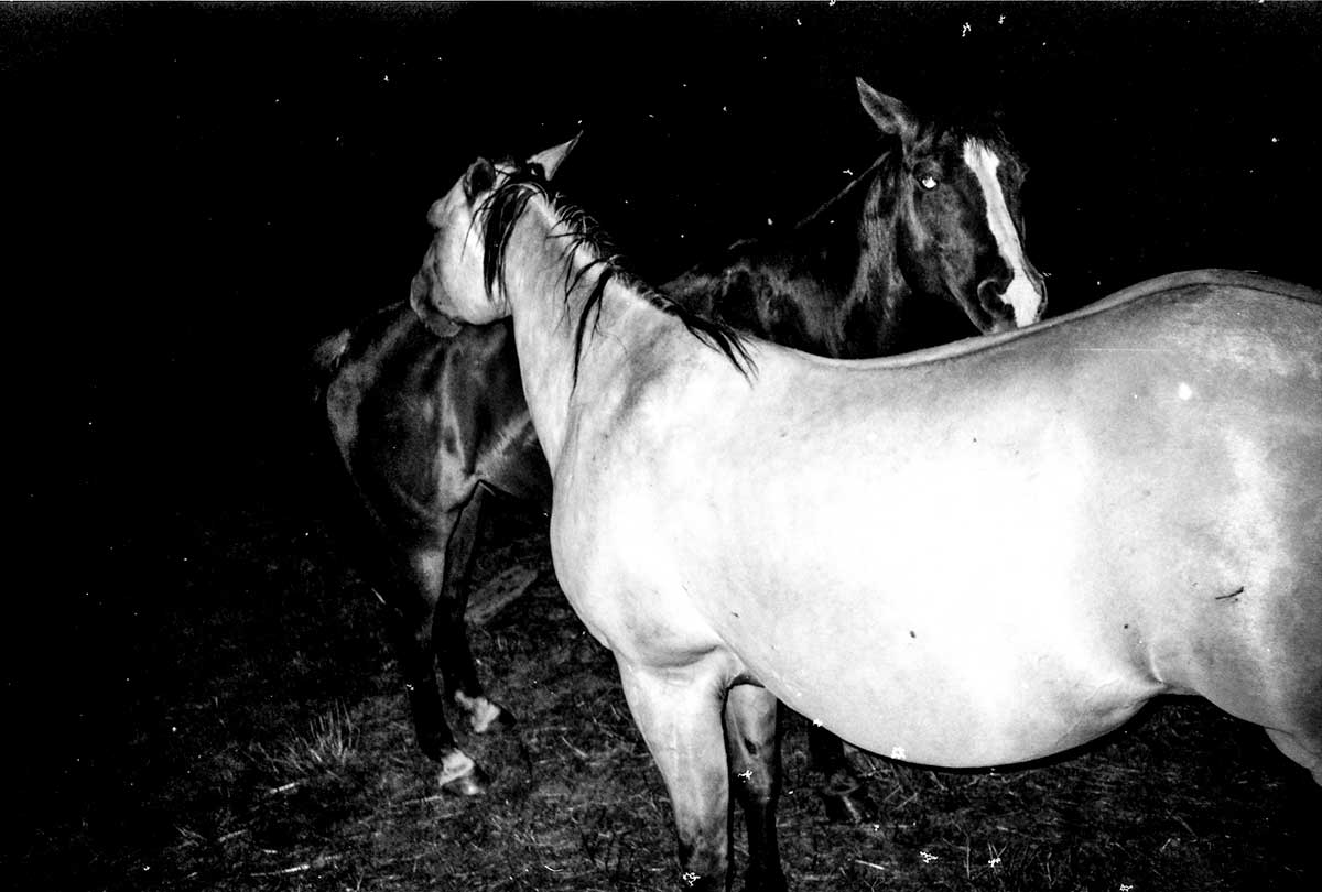 2024 10 Dargeboten Wenders und Wenders 2