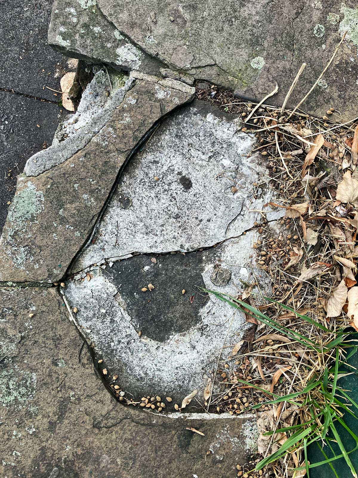 2024 10 Dargeboten Wenders und Wenders 2